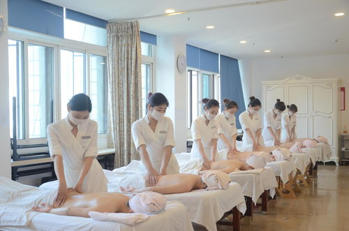 技术驱动美丽未来 成都市锦江区歌泽美容技能培训学校的美容技术研发实践